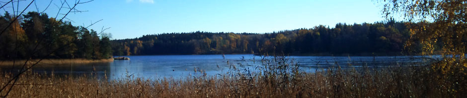 Bergholms Tomtägarförening