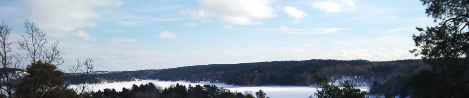 Bergholms Tomtägarförening